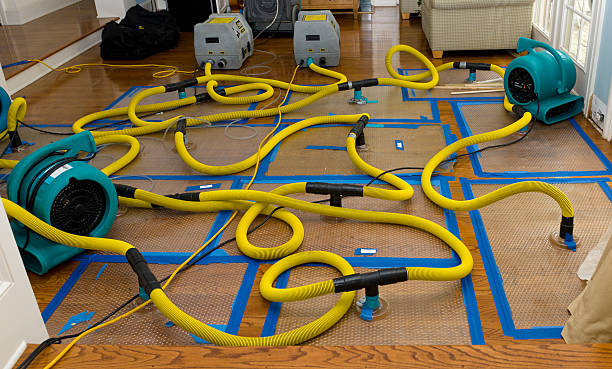 Professional Burst Pipe Water Damage technician working in Farmington, PA